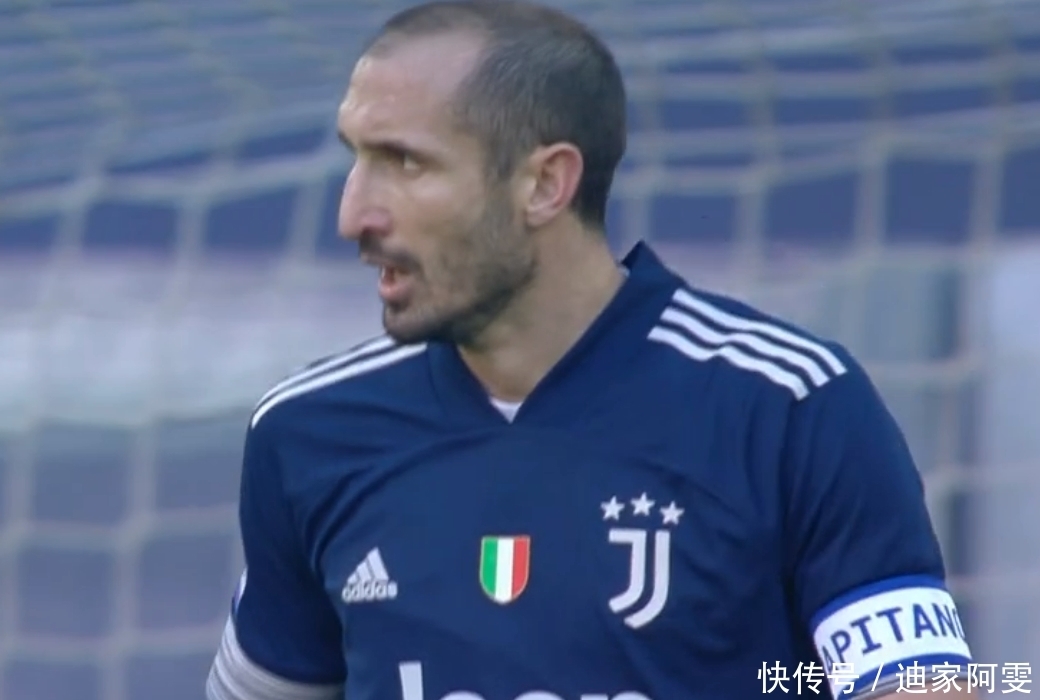 马最稳定的 马最稳定的